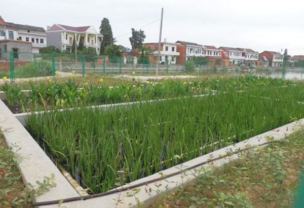 中国·yL23411永利